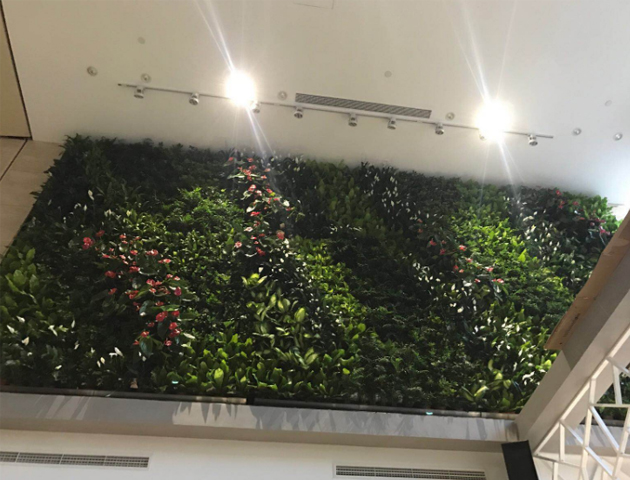 北京某银行植物墙工程  植物墙